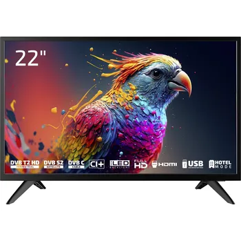 Televizor DYON 22" LED (D800238)