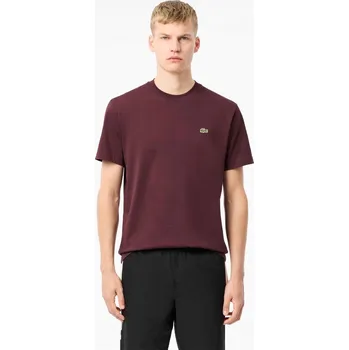 Pánské tričko Tričko Lacoste Burg BZD 1057556 S