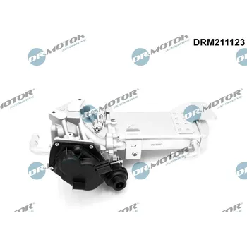 Ventil palivového systému AGR-Ventil Dr.Motor Automotive DRM211123