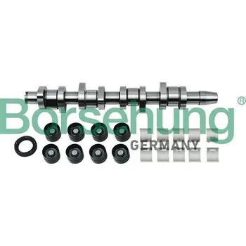 Vačková hřídel Sada vačkového hřídele Borsehung B18664