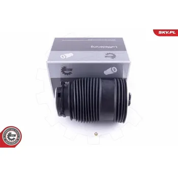 Vzduchová pružina, podvozek ESEN SKV 58SKV007