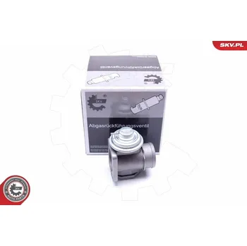 Ventil palivového systému AGR-Ventil ESEN SKV 14SKV174