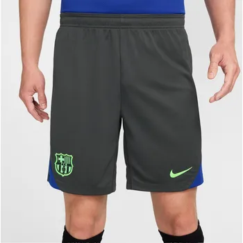 Kraťasy Nike Grey 1016226 L