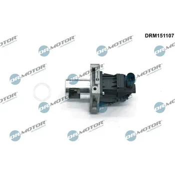 Ventil palivového systému AGR-Ventil Dr.Motor Automotive DRM151107