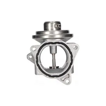 Ventil palivového systému AGR-Ventil NISSENS 98173