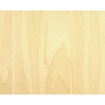 Tapeta Samolepicí fólie bříza, šířka 67,5 cm, metráž - cena za 1 metr / 55667 samolepící tapeta dřevo Venilia