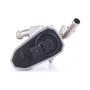 Ventil palivového systému AGR-Ventil NISSENS 98165