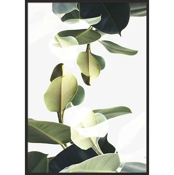 Obraz OBRAZ PLAKÁT V RÁMU 33x43 cm Listy P844