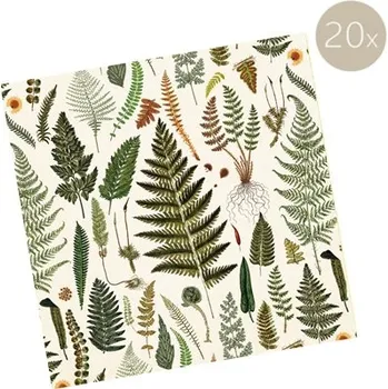Papírový ubrousek Ubrousky s kapradím