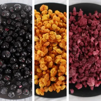 Sušené ovoce Lyopotraviny s.r.o. MiXniSi - borůvky, BIO rakytník, drcené maliny (sušeno mrazem) Hmotnost balení: 30 g