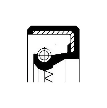 Těsnění motoru Těsnicí kroužek CORTECO 12000706