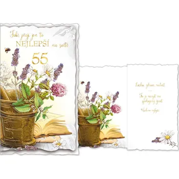 MFP Přání k narozeninám 55 M11-468 T