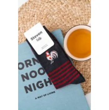 Pánské ponožky Pánské ponožky FOLK 8GF4J Steven, ecru 39-42 i170_XO004118B