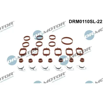 Sada na opravu, modul sacího potrubí Dr.Motor Automotive DRM0110SL-22