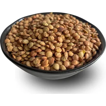 Luštěnina Lyopotraviny s.r.o. BIO čočka hnědá - neloupaná, 1000 g