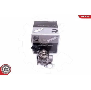 Ventil palivového systému AGR-Ventil ESEN SKV 14SKV206