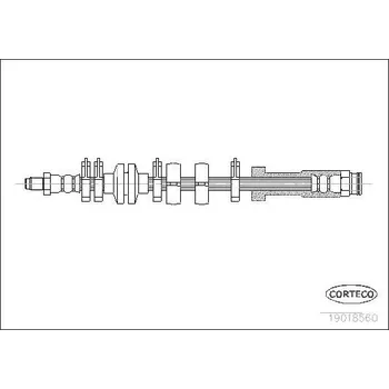 Brzdová hadice Brzdová hadice CORTECO 19018560
