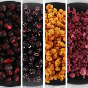 Sušené ovoce Lyopotraviny s.r.o. MiXniSi - černý rybíz, arobie, BIO rakytník, drcené maliny (sušeno mrazem) Hmotnost balení: 50 g