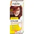 Barva na vlasy Schwarzkopf Palette Color Shampoo 50 ml