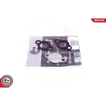 Sada na opravu, ventil AGR ESEN SKV 14SKV572