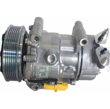 Kompresor klimatizace Kompresor, klimatizace DELPHI CS20526