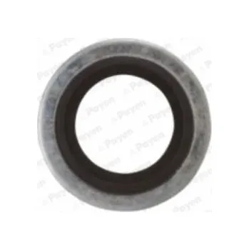 Těsnicí kroužek, olejová vypouštěcí zátka PAYEN KG5012