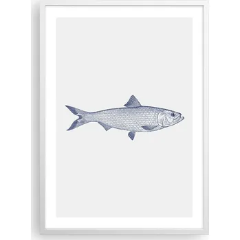 Obraz Plakát v bílém rámu do obýváku ložnice 50x70 ryba moderní obraz