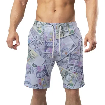 Pánské plavky Pánské plavky long – Bankovky (Velikost: 2XL)