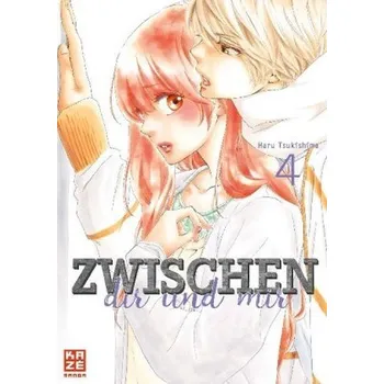 Komiks pro dospělé Zwischen dir und mir 04 - Tsukishima, Haru
