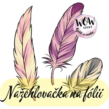 Nažehlovačky na fólii Nažehlovačka na fólii, BAREVNÉ PEŘÍ, 7,3x6,9 cm /ks