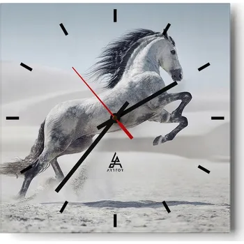 Hodiny Velké nástěnné hodiny 40x40 cm Zvířata Skleněné tiché hodiny