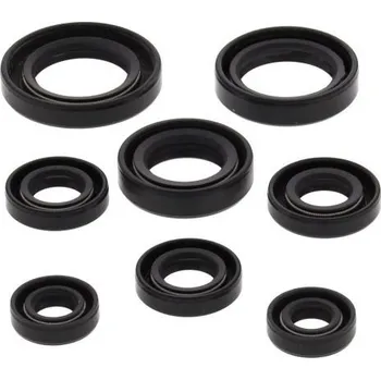 Těsnění motoru Winderosa sada gufer motoru Honda TRX200 90-97, TRX200D 90-97