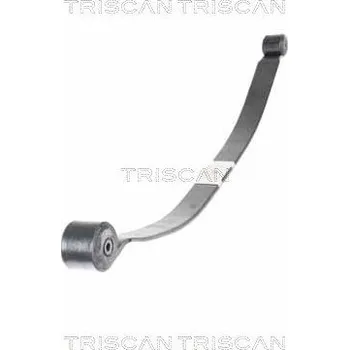 Paket pružin TRISCAN 8765 16051