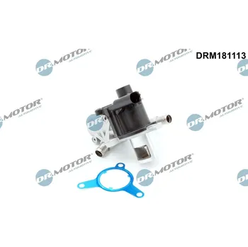 Ventil palivového systému AGR-Ventil Dr.Motor Automotive DRM181113