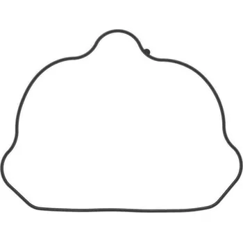 Těsnění pro motocykl Winderosa sada těsnění víka ventilů Polaris Forest 800 6x6 15, Ranger 4x4 800 EFI 10, Rang