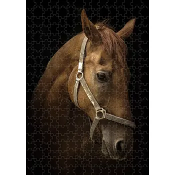 Puzzle Puzzle hlava koně 120 dílků (puzzle s motivem koní)