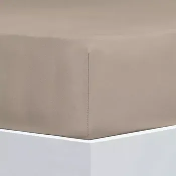 Prostěradlo Prostěradlo Avance Jersey Elastan Koreander 180x200-220 cm
