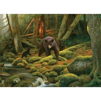 Puzzle Puzzle Matka Příroda 1000 dílků od Cobble Hill