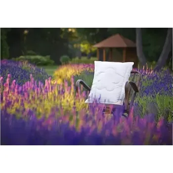 Polštář Polštář Levandule 50x70 cm zip+vak (670 g)