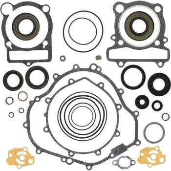 Těsnění motoru Winderosa sada těsnění motoru (s olejovým těsněním) Yamaha YFM350 Grizzly IRS 07-11, YFM35