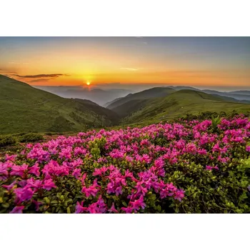 Puzzle ENJOY Růžový soumrak 1000 dílků