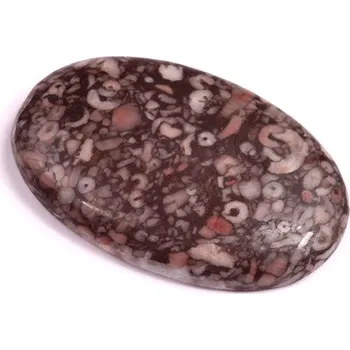 Přírodní kámen Kabošon Kammererite Fossil č.3461 (35x23x5mm)