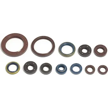Těsnění motoru Winderosa sada gufer motoru Suzuki DR100 83-90, DR125 82-84