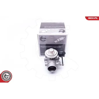 Ventil palivového systému AGR-Ventil ESEN SKV 14SKV107