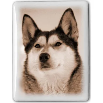 Rám na obraz Euro obdélník 13x18cm - Foto na pomníky a hroby Barva fotografie: Hnědá