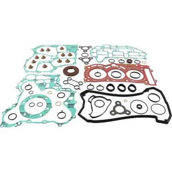 Těsnění motoru Winderosa sada těsnění motoru (s olejovým těsněním) Ski-Doo Expedition 900 ACE 16, Expedit