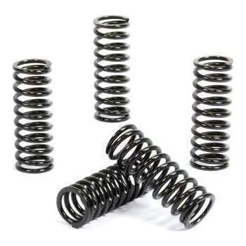 RC náhradní díl PROX pružiny spojky HONDA CRF 250R 10-13