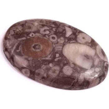Přírodní kámen Kabošon Kammererite Fossil č.3452 (35x22x5mm)