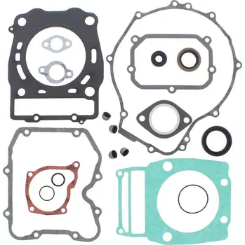 Těsnění motoru Winderosa sada těsnění motoru (s olejovým těsněním) Polaris ATP 500 4x4 04-05, Big Boss 50