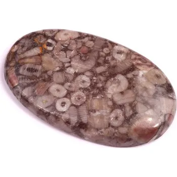 Přírodní kámen Kabošon Kammererite Fossil č.3442 (39x24x5mm)